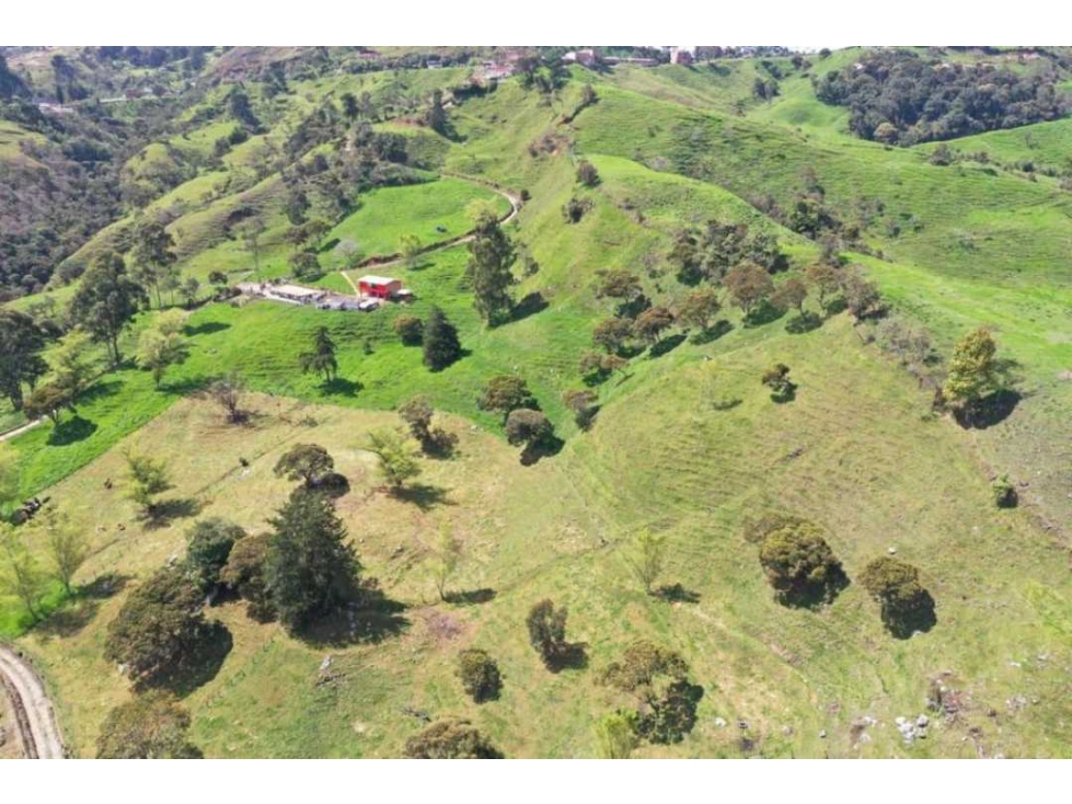 Se Vende Lote de 1000m2 en Alto de Matasano-Antioquia