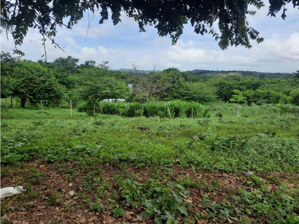 Se vende lote de terreno en conjunto cerrado en villa del.palmar