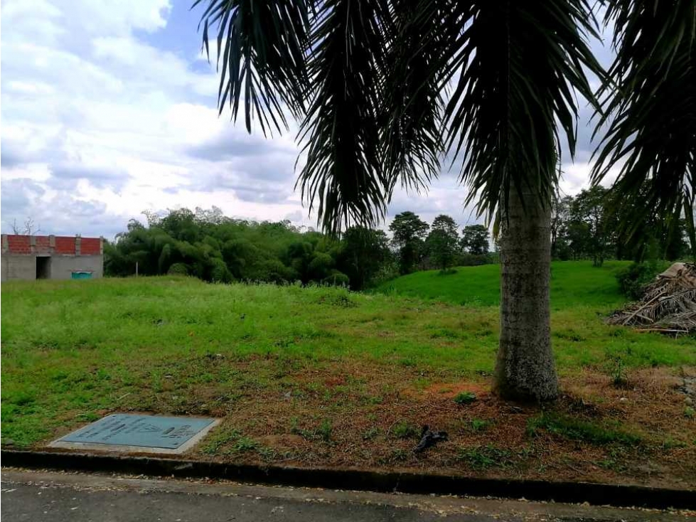 SE VENDE LOTE EN EL CAIMO CONJUNTO CERRADO