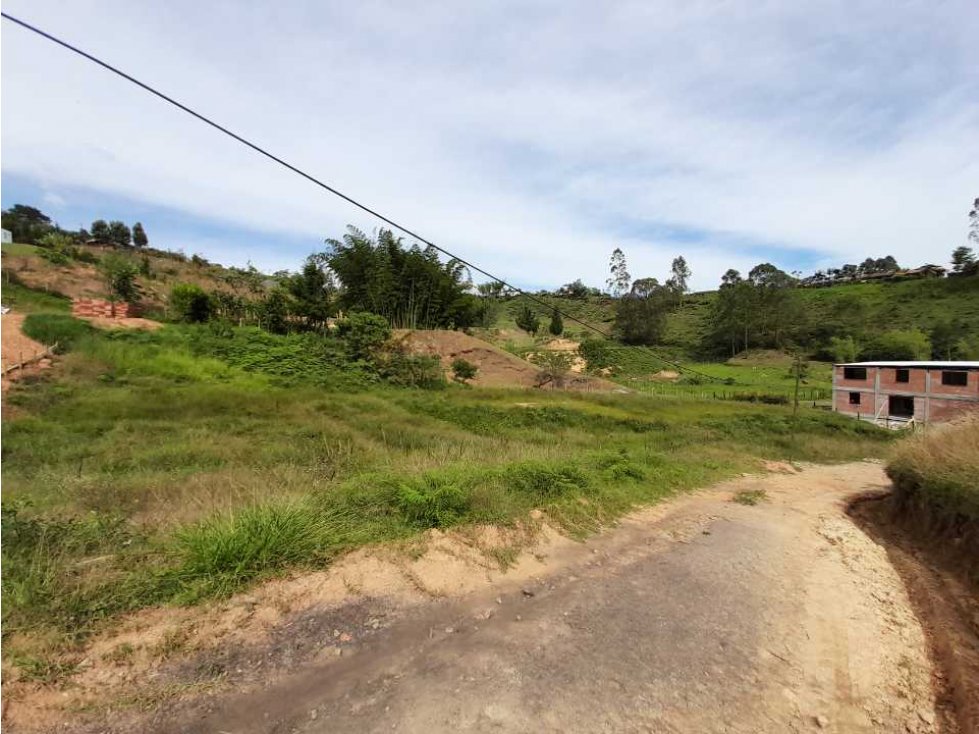 se vende lote en Rionegro, sector los pinos.