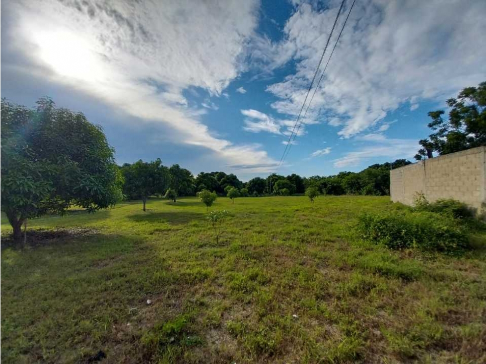 Se vende lote sobre carretera Vía Cienaga, Magdalena