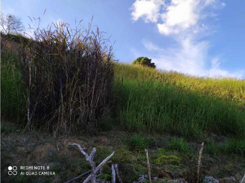 Se Vende Lote Rural Para Desarrollo De Proyecto Productivo O Ecoturíst