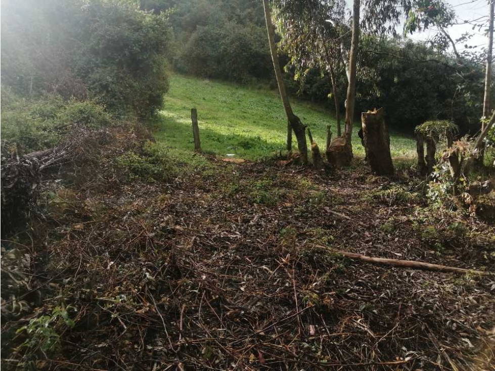 SE VENDE LOTE DE TERRENO EN TAUSA