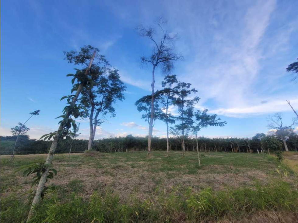 SE VENDE LOTES SENTIDO ALCALA CARTAGO, CON ACOMETIDAS DE AGUA Y ENERGÍ