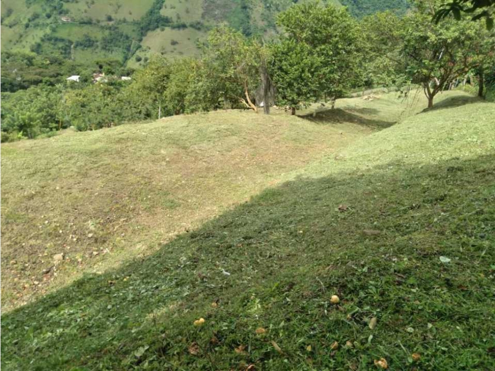 Terreno Campestre De 7411 m² En El Suroeste Antioqueño