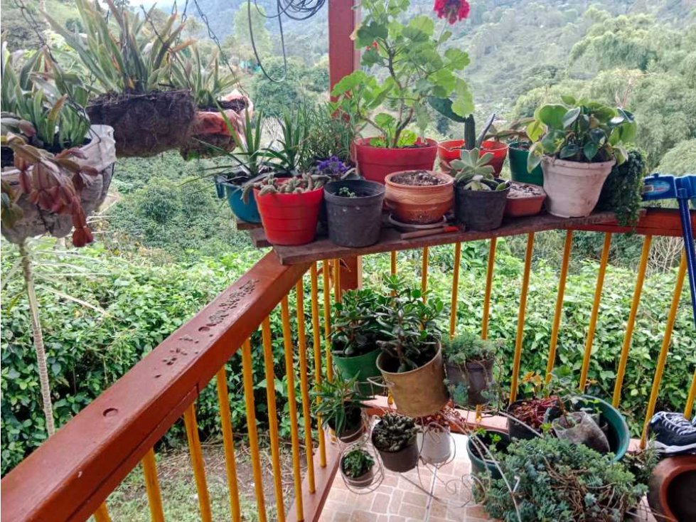 Vendo Finca sobre vía para turismo o producción Salento Quindio