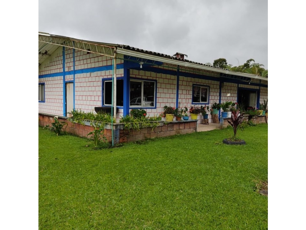 Vendo Finca ecoturistica en la vereda la bella Pereira