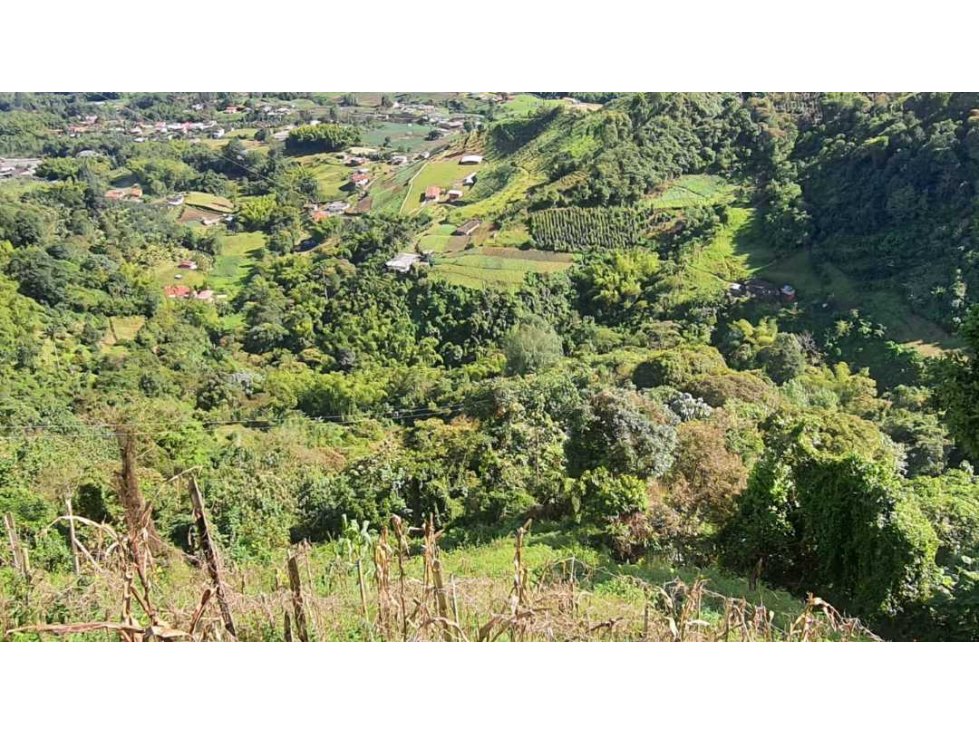 VENDO FINCA EN LA COLONIA PEREIRA