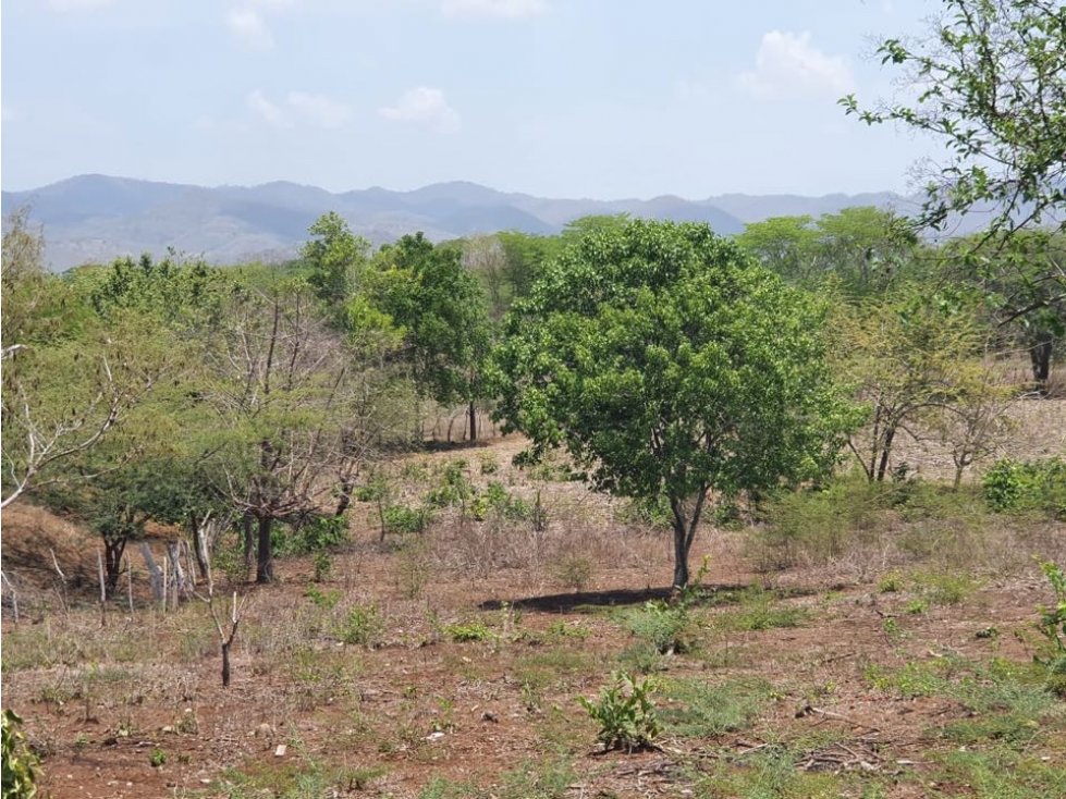 Vendo finca en repelón Atlántico