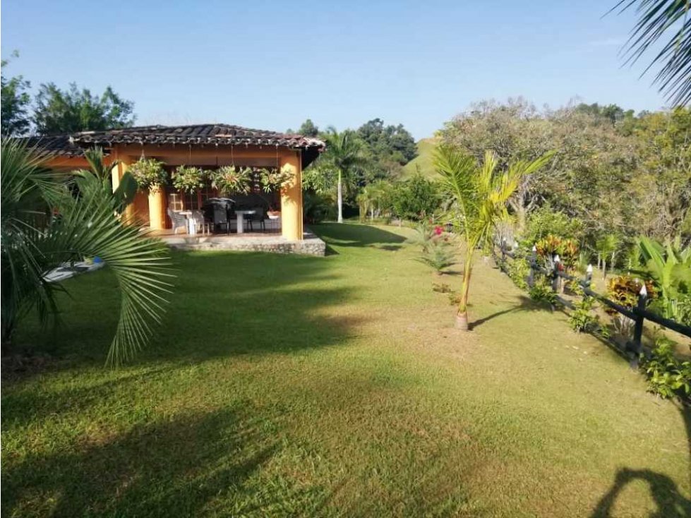 Vendo finca en Venecia Antioquia