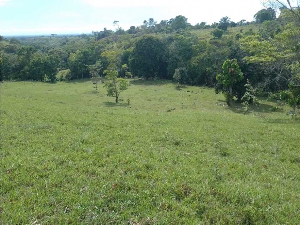 VENDO FINCA GANADERA DE 37 HECTÁREAS SEMI ONDULADA EN SAN MARTÍN CESAR