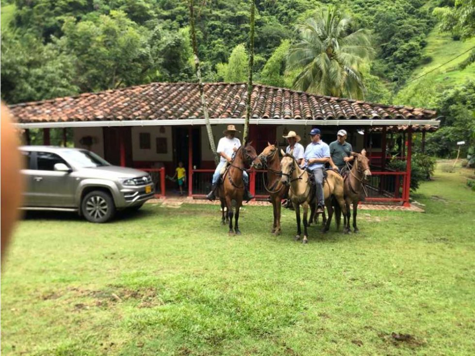 Vendo finca ganadera en abejorral Antioquia