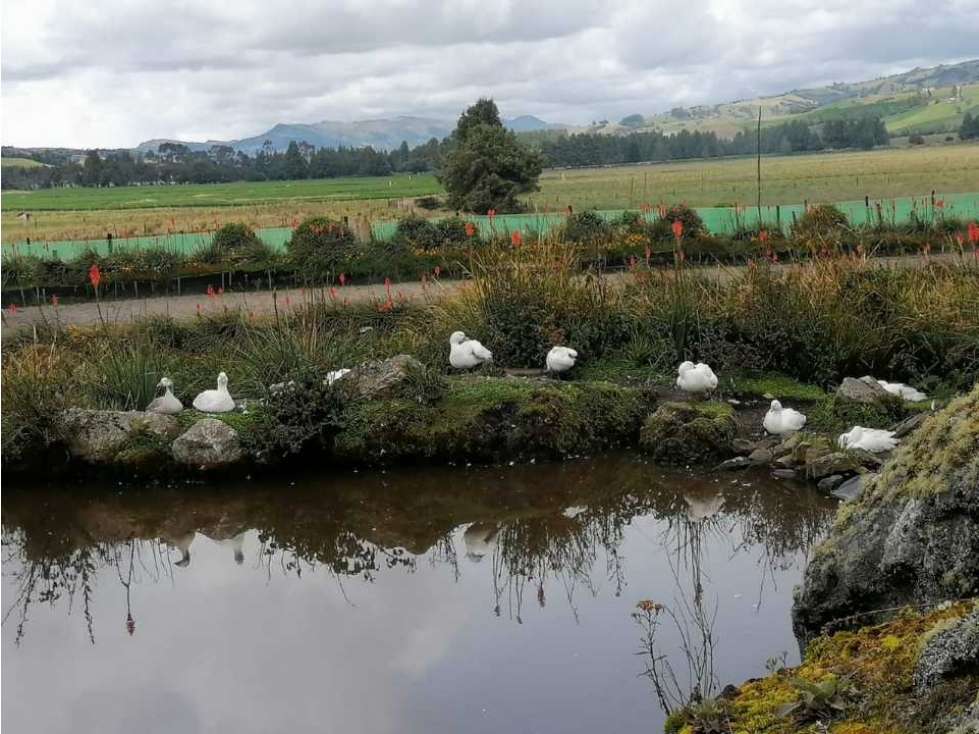 VENDO HERMOSA FINCA EN ZIPAQUIRÁ CUNDINAMARCA