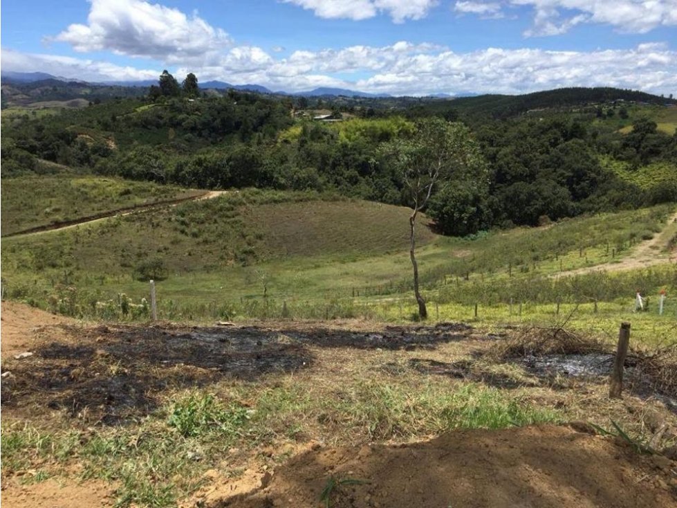 Vendo lote  Popayan, 1.000 m2  a 2 Km vía Popayán-Timbio