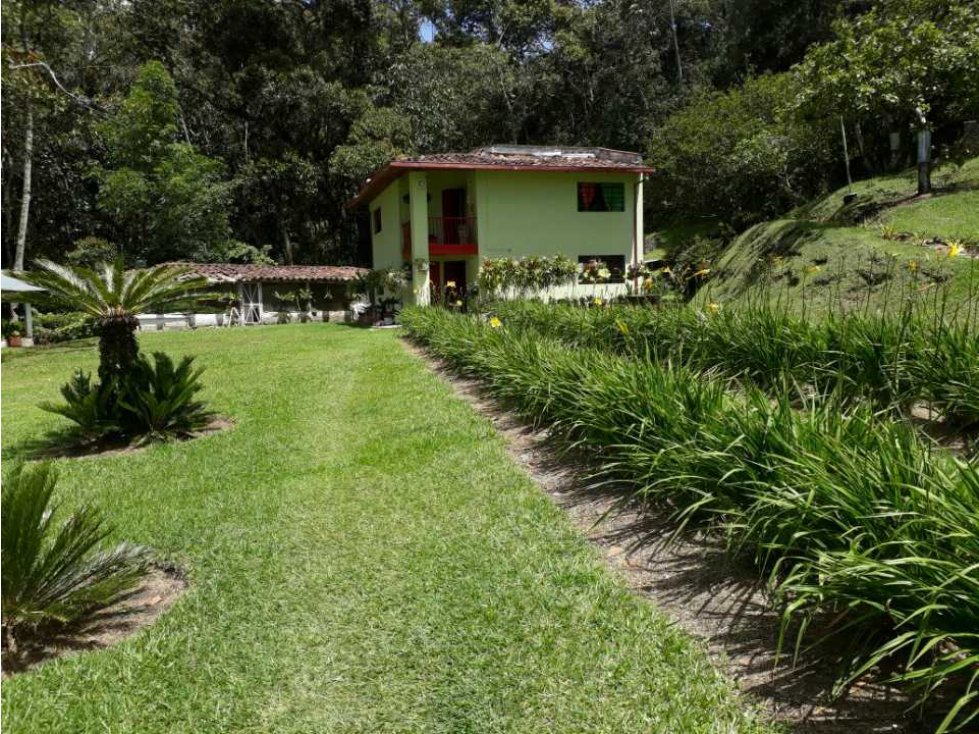 VENDO O ARRIENDO POR DIAS FINCA EN SECTOR LLANOGRANDE RIONEGRO