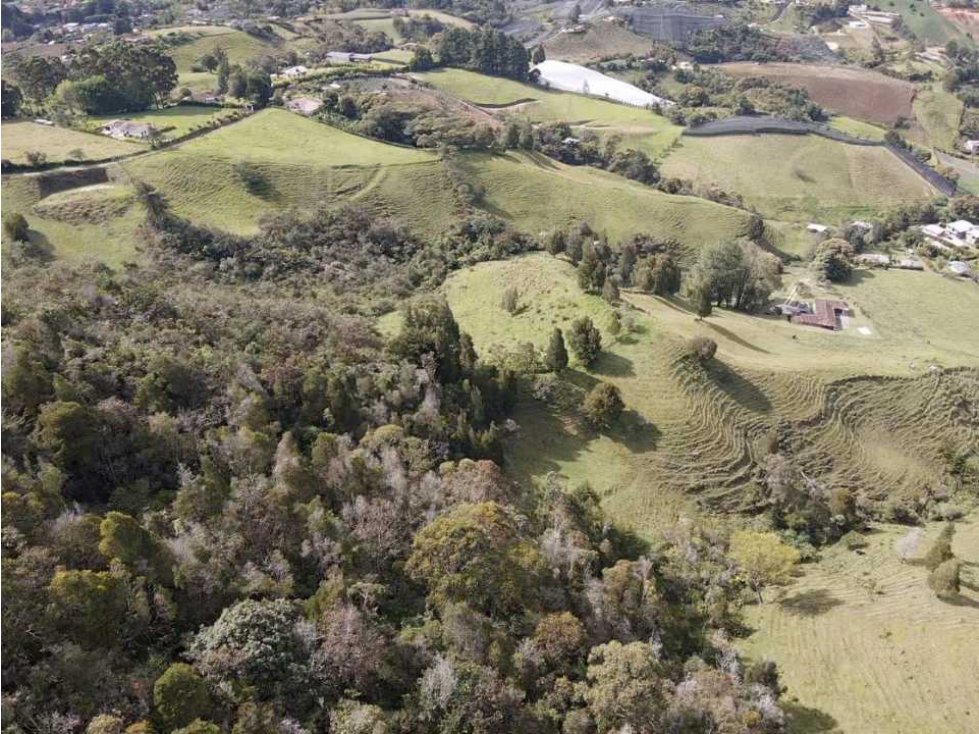 Vendo lote en el carmen de vivoral vereda camargo