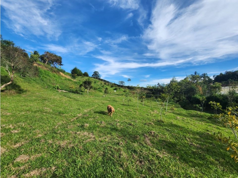 VENDO LOTE EN GUARNE - VEREDA JUAN XXIII