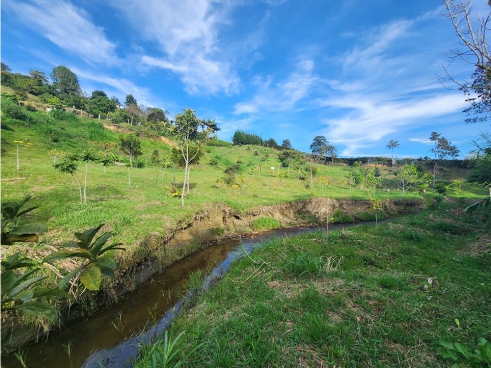 VENDO LOTE EN GUARNE, VEREDA JUAN XXIII