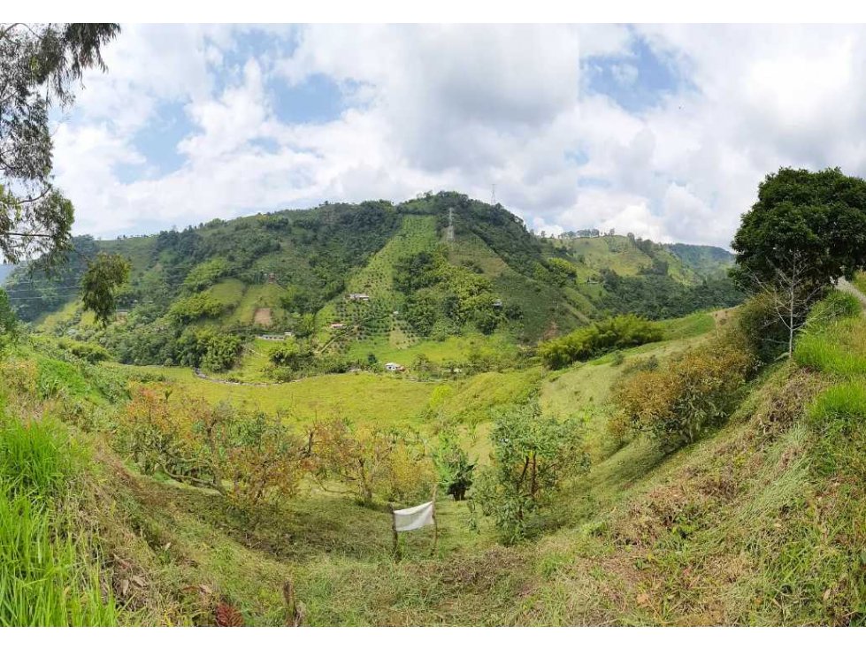 VENDO LOTE EN LAS MANGAS SANTA ROSA DE CABAL