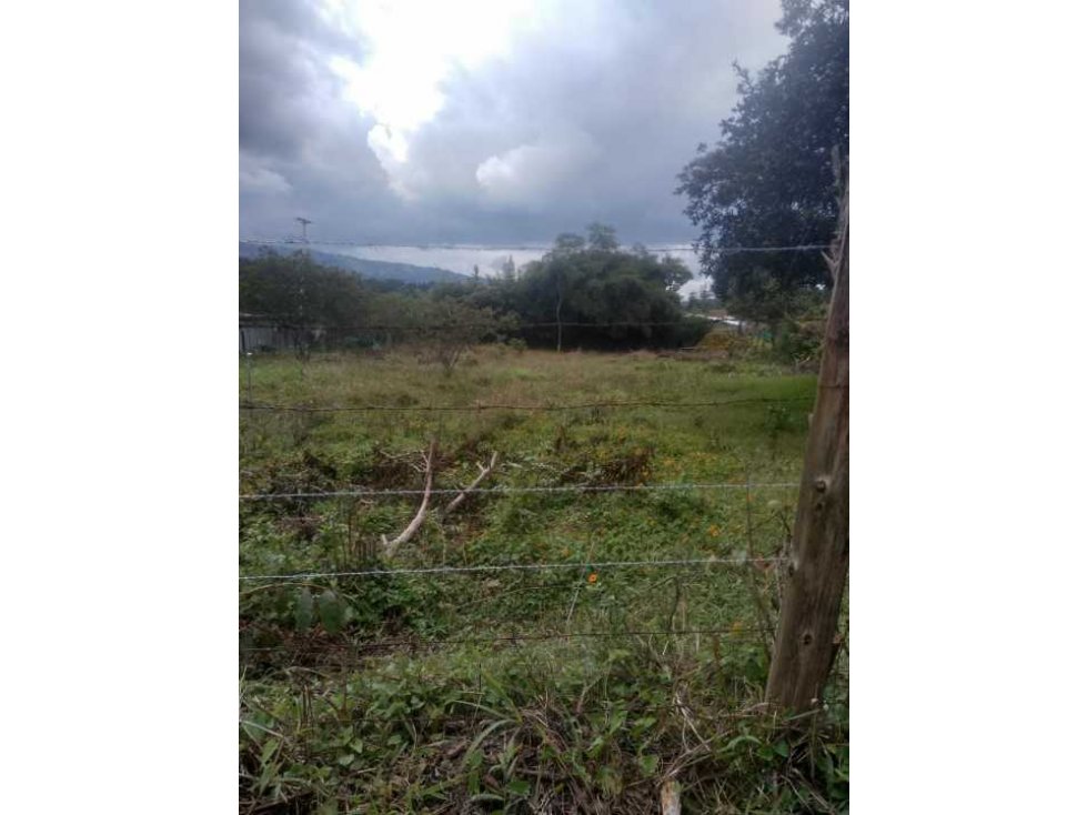 Vendo Lote Guarne Antioquia