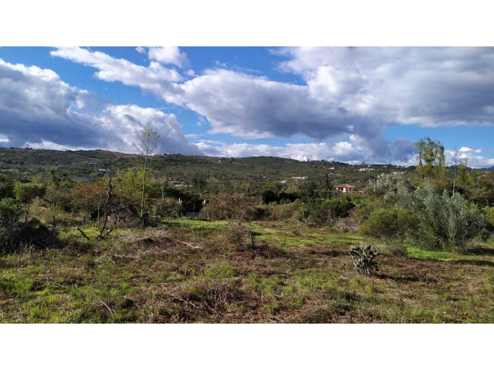 VENDO LOTE PLANO VEREDA MONQUIRA - VILLA DE LEYVA