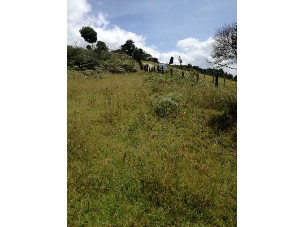 VENDO LOTE RURAL. 12.800 M2. SOBRE LA VIA SECUNDARIA. SOTAQUIRA BOYACA