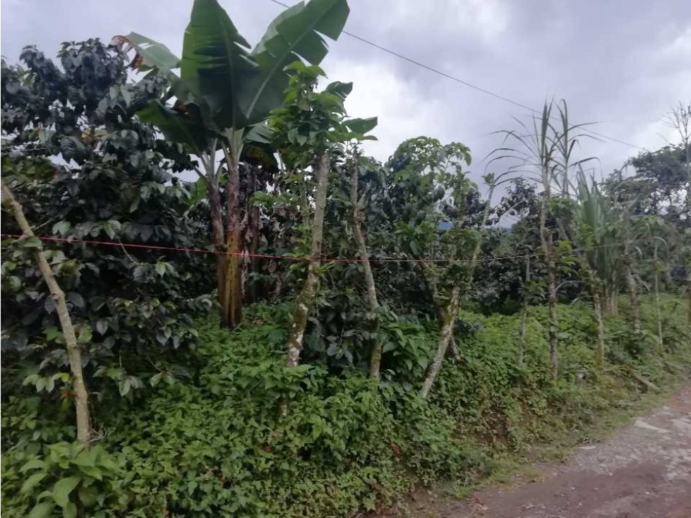 VENDO LOTE EN EL CORREGIMIENTO LA FLORIDA