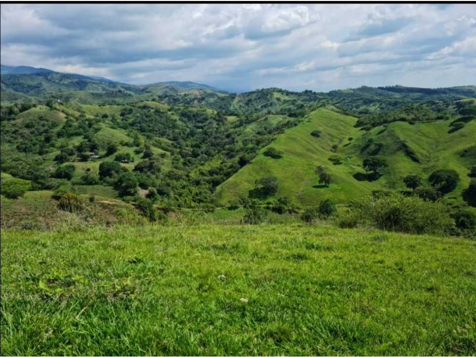 Vendo lotes en parcelacion las agüita en Buga (CL) WASI 5201864