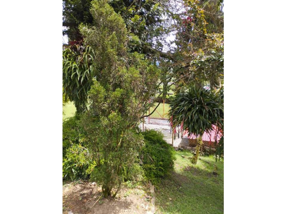 Venta casa finca Guarne Antioquia Vereda La Clarita