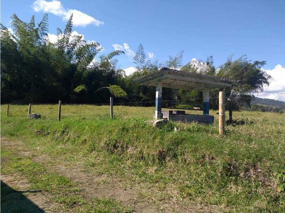 VENTA DE 2 LOTES MULTIPROPOSITOS CALIMA EL DAIREN