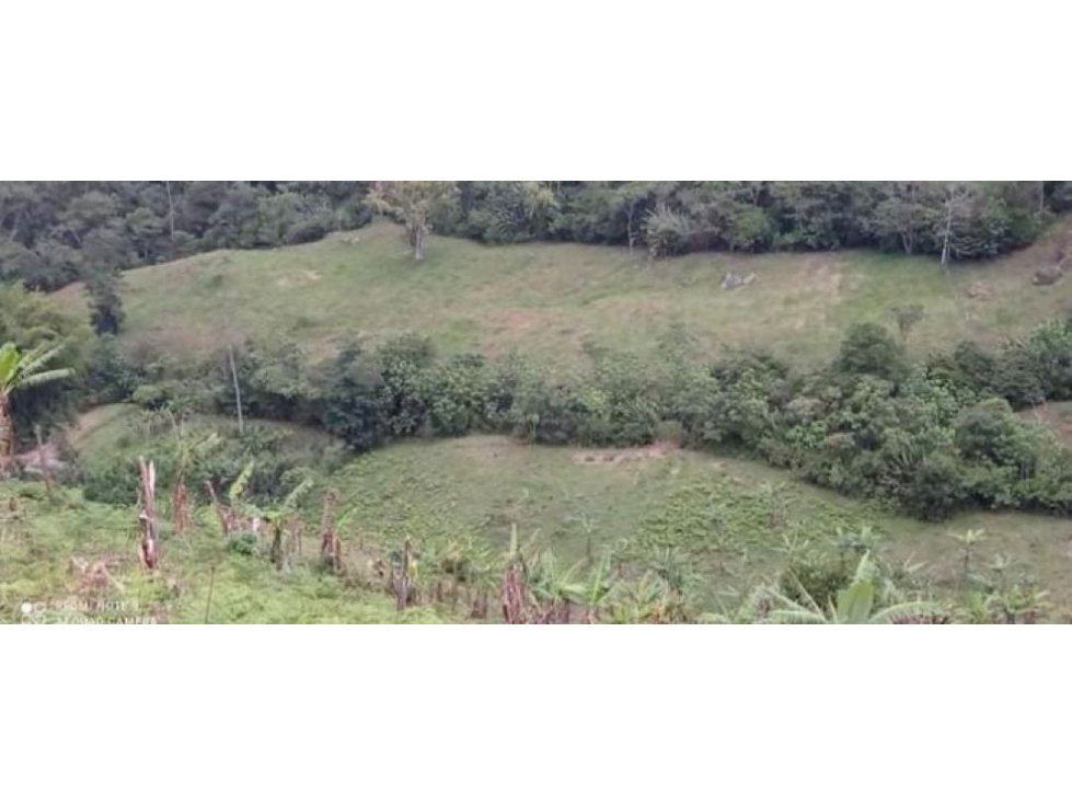 VENTA DE FINCA GANADERA DE 9 cuadras