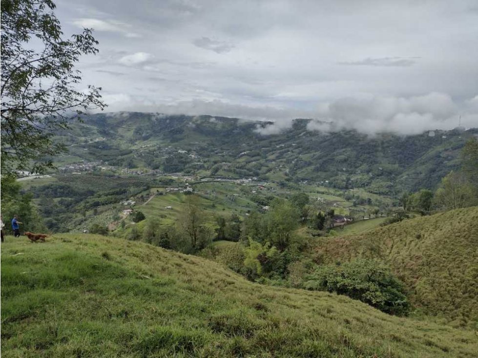 venta de espectacular finca  via a la florida