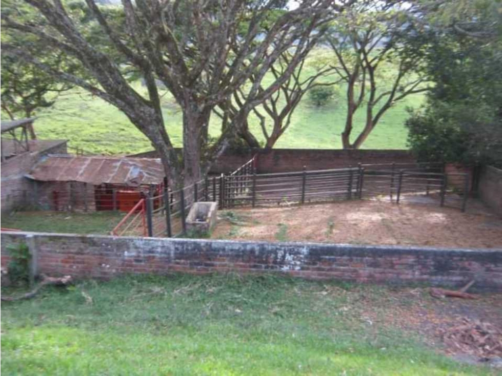 VENTA DE FINCA COROZAL SEVILLA VALLE