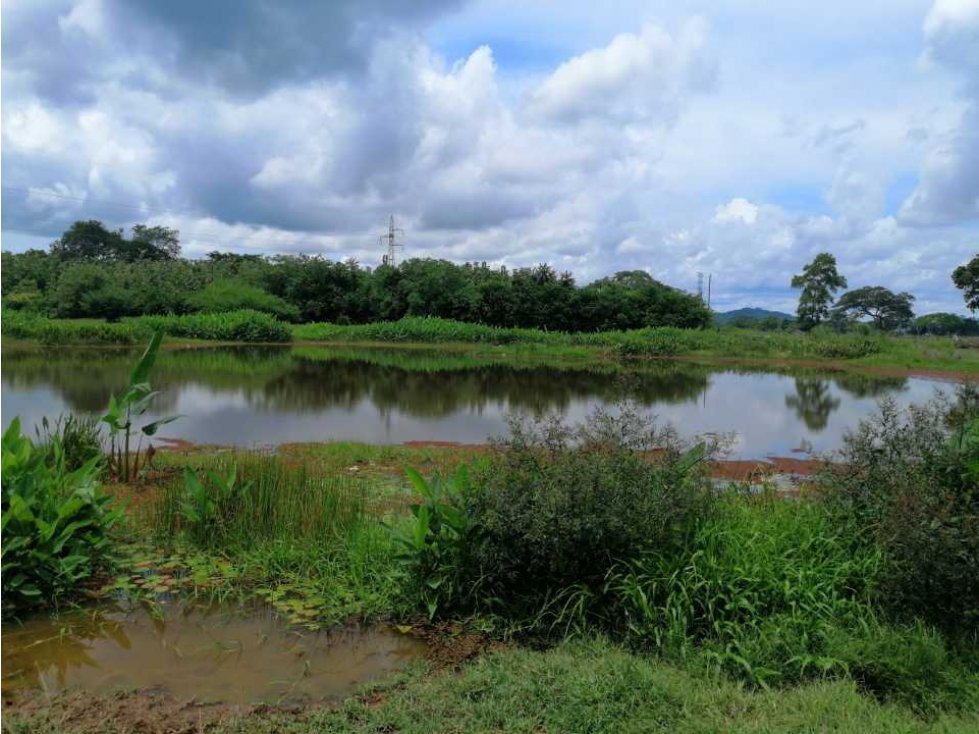 VENTA DE FINCA DE 202 HECTÁREAS, MONTERIA