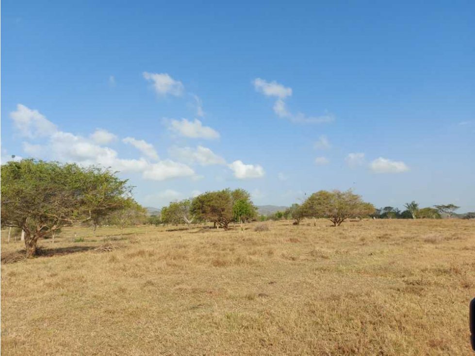 VENTA DE FINCA DE 200 HECTÁREAS, MONTERIA, CORDOBA