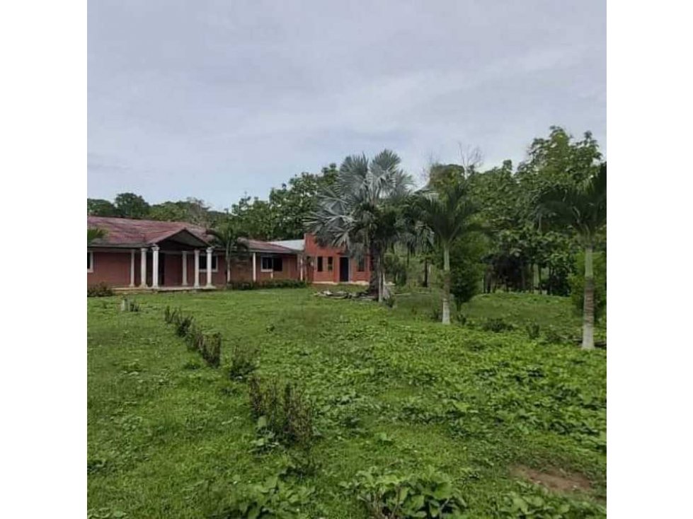 VENTA DE FINCA EN AGUA VIVA,MONTERIA