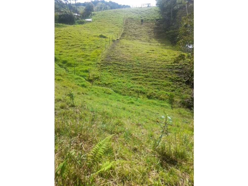 Venta de finca en el carmen de viboral