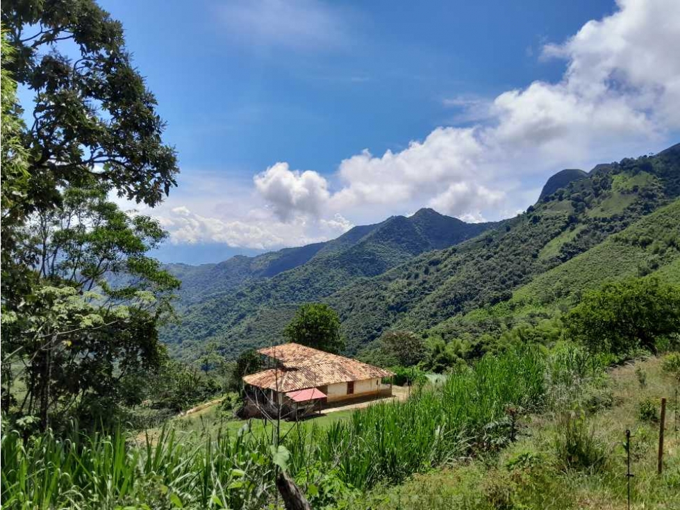 VENTA FINCA HISPANIA, SUROESTE ANTIOQUEÑO