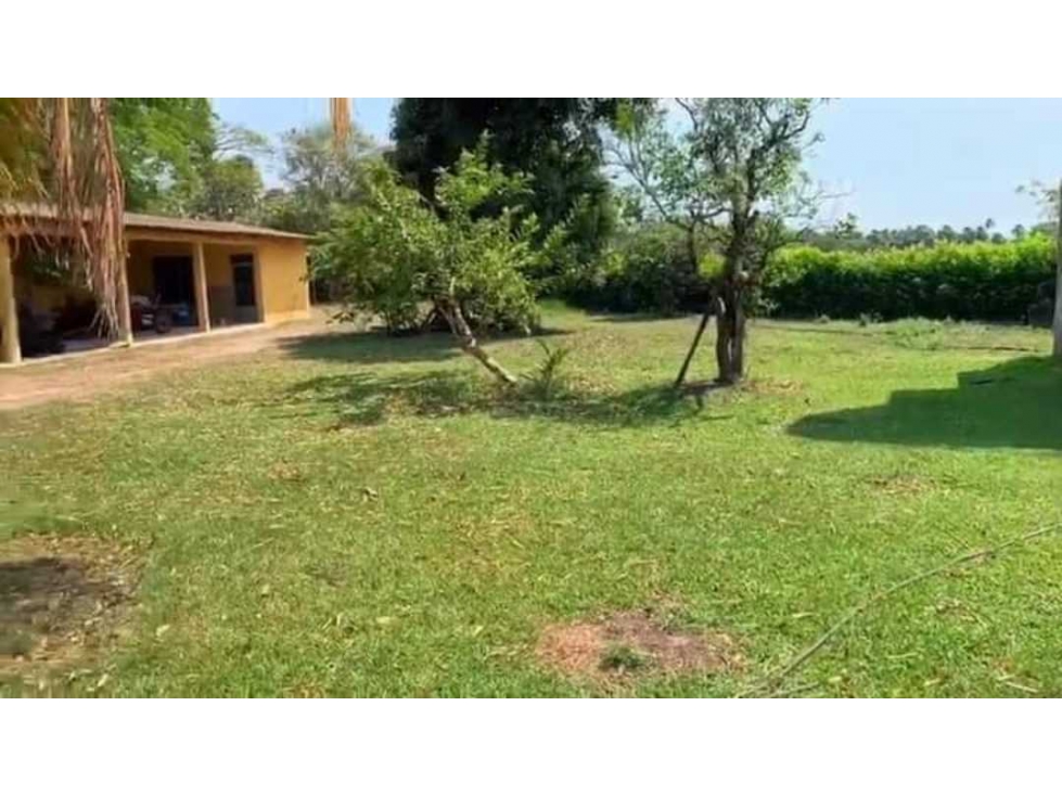 VENTA DE FINCA GANADERA VILLANUEVA LLANO ORIENTALES