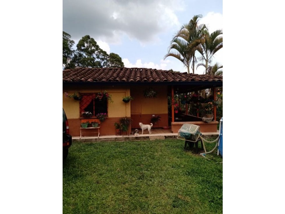 Venta de hermosa finca con dos casas en vereda yarumal pereira