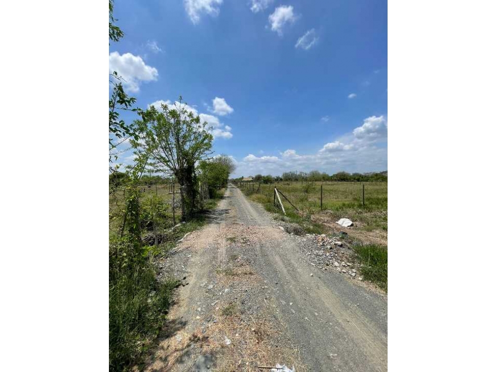 VENTA DE LOTE CAMPESTRE EN MONTERÍA