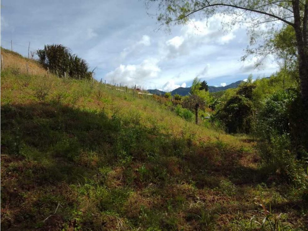 Venta de lote en el carmen de viboral