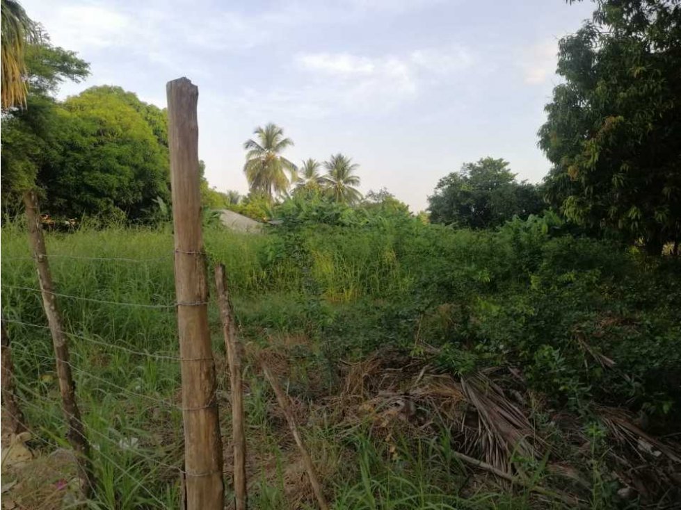 VENTA DE LOTE EN GARZÓNES, MONTERIA