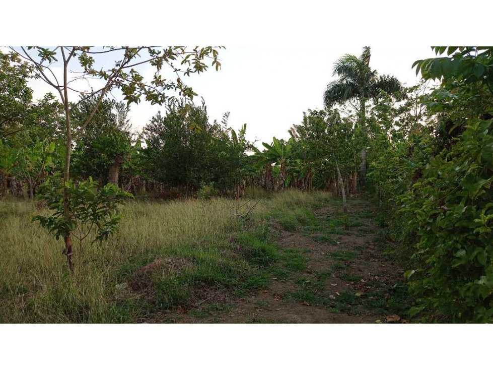 Venta de lote esquinero en California, Montería