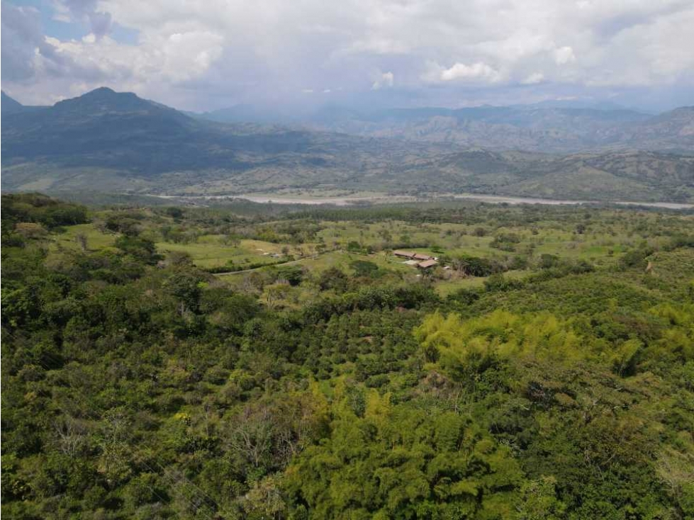 VENTA DE LOTE TAMESIS, SUROESTE ANTIOQUEÑO.