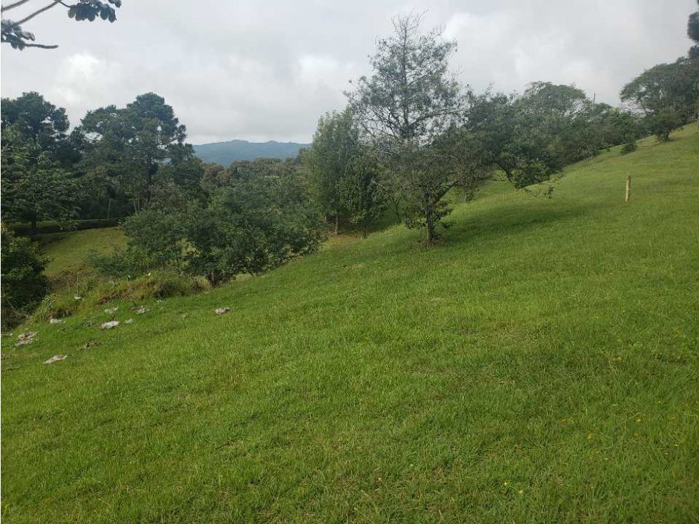 Venta de Lotes Exclusivos frente a la represa la Fe Rionegro Antioquia