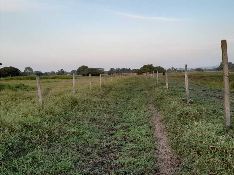 VENTA DE PARCELA EN LOS PERICOS, MONTERIA