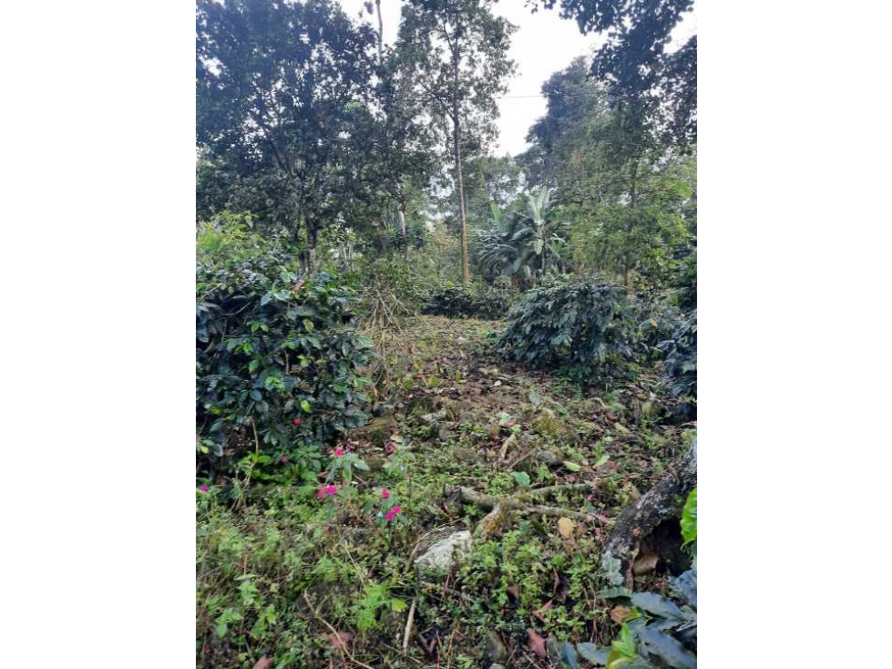 VENTA DE TERRENO EN TENA CUNDINAMARCA NEGOCIABLE