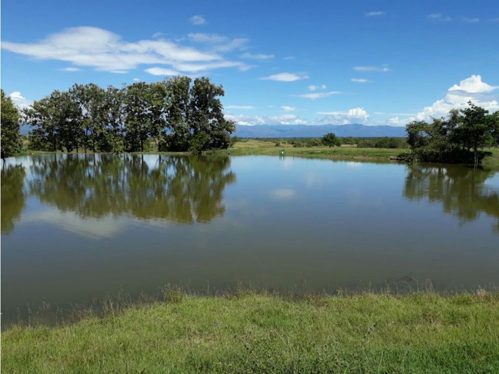 Venta Finca en Saldaña, 272 ha, planas!