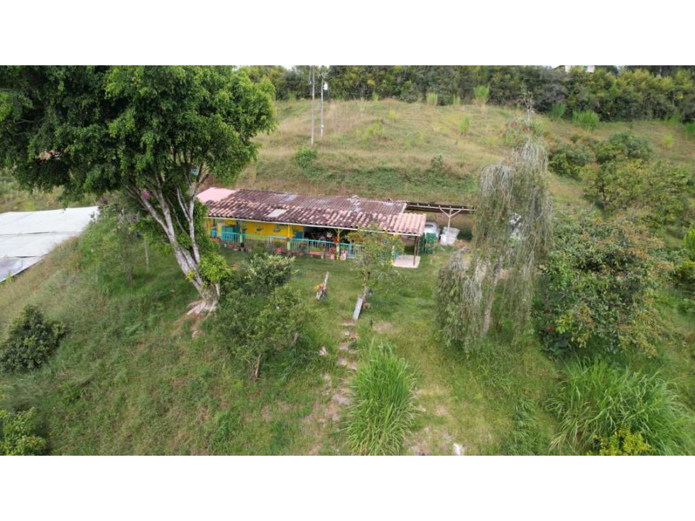 Finca de producción en venta en San Vicente, Antioquia